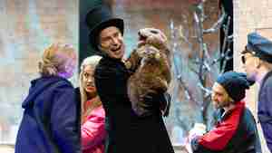 036_tfn_murmeltier_foto_tim_mueller