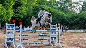 Beeindruckende Szenen sind beim Reitturnier St. Georg in Burgdorf zu erleben.