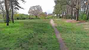 Blick auf das Biotop am Bösselberg im Frühsommer 2024.