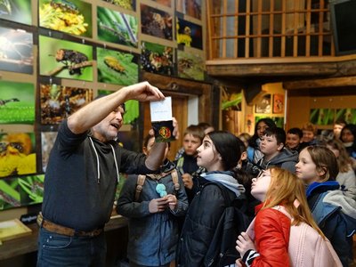 250408_bu_dehne_insektenausstellung