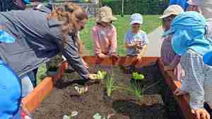 Das Familienzentrum An den Hecken beteiligt sich an der Edeka-Initiative „Gemüsebeete für Kids“.