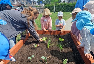 250627_bu_edeka_cramer_gemuesebeete