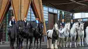 Das Showteam Pegasus aus Wettmar tritt beim Pferde- und Hobbytiermarkt auf.