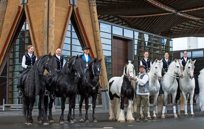 250710_bu_pferdemarkt