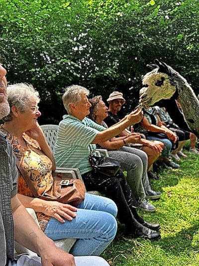 250715_Hospizdienst_Alpaka