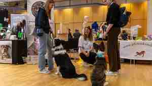 3. Burgdorfer Hundemesse am 5. und 6. April 2025-1