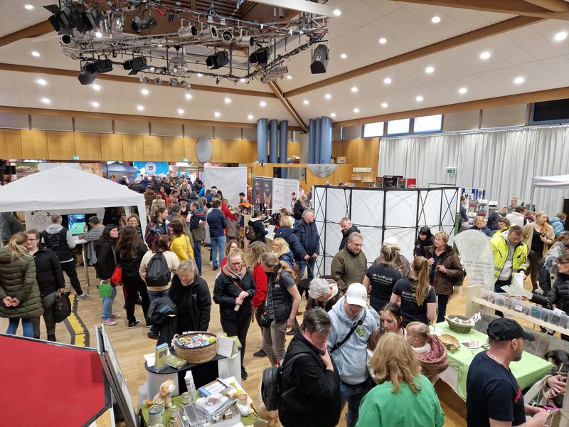 3. Hundemesse im StadtHaus-1