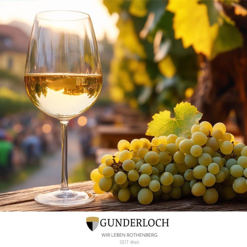 Auslese-Event-2025-09-11 - Weingut Gunderloch-Shopify