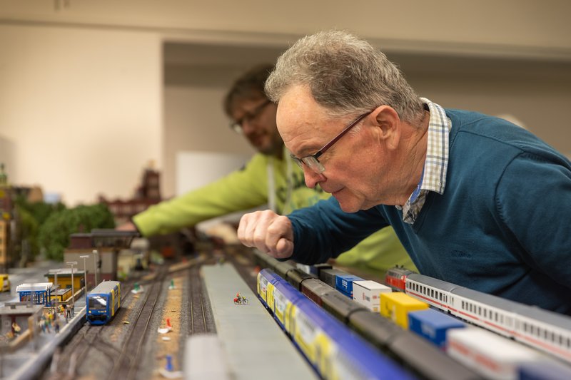 Foto 11 - Eisenbahnlandschaft des BSW Freizeitgruppe MEC Hannover 2