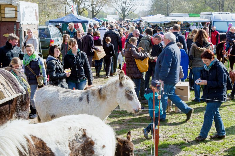 Foto 19 - 17.8.2023 Pferde- und Hobbytiermarkt in Burgdorf - Kopie
