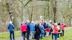 Foto 2 Neujahrsspaziergang