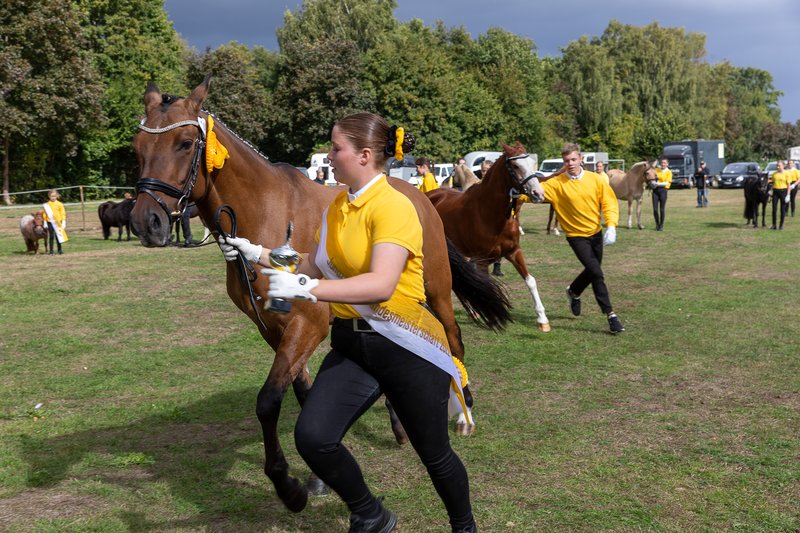 Landesmeisterschaften der Ponyjungzüchter am 20. September 2025 (4)