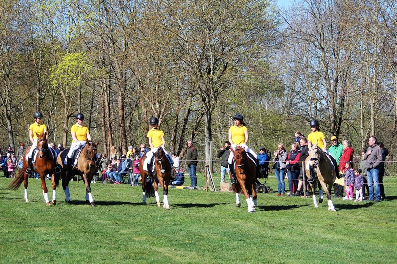 Niedertsächsische Reitponyquadrille auf dem Pferde- und Hobbytiermarkt 4_n