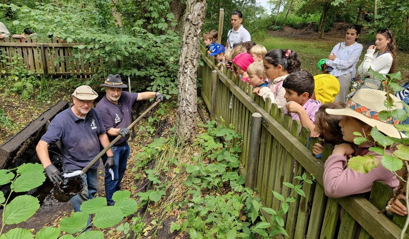 Öl wird abgeschöpft