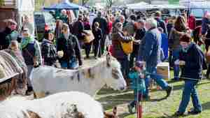 Pferde- und Hobbytiermarkt in Burgdorf 11