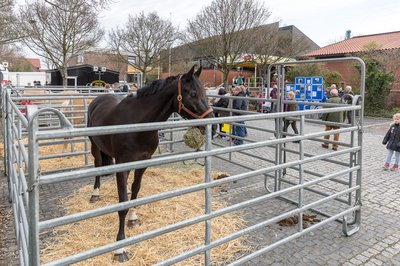 Pferde-_und_Reitsportmesse_am_2._April_2023_4.jpg
