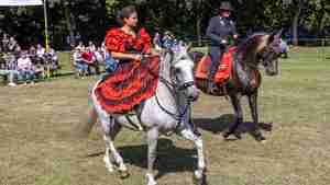 Pferdemarkt_19_07_2025-9740