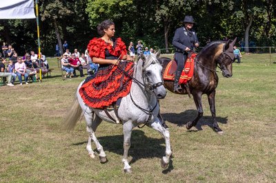 Pferdemarkt_19_07_2025-9740