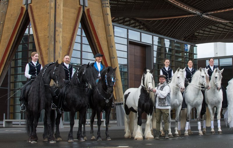 Reitershow mit dem Showteam Pegasus