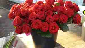 Rosen_Deutsche_Marktgilde_Wochenmarkt (1)