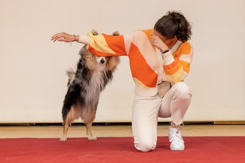 hundemesse_05_04_25-4467